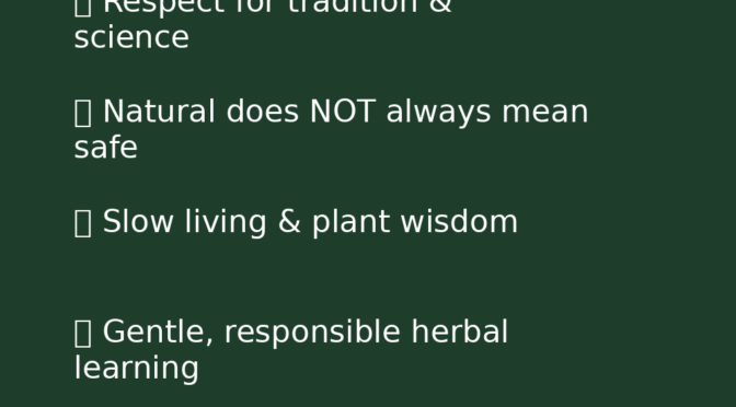 What Is Herbal-ism?  Rooted in Nature, Guided by Wisdom